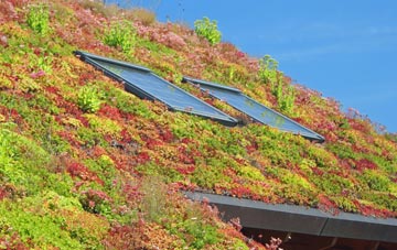Cransford living roof systems