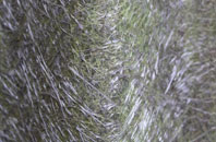 Cransford fibreglass roof work