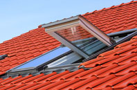 Cransford roof window